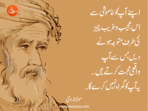 Top 10 Quotes of Molana Rumi 