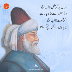 Top 10 Quotes of Molana Rumi 